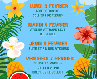 Février sous les cocotiers